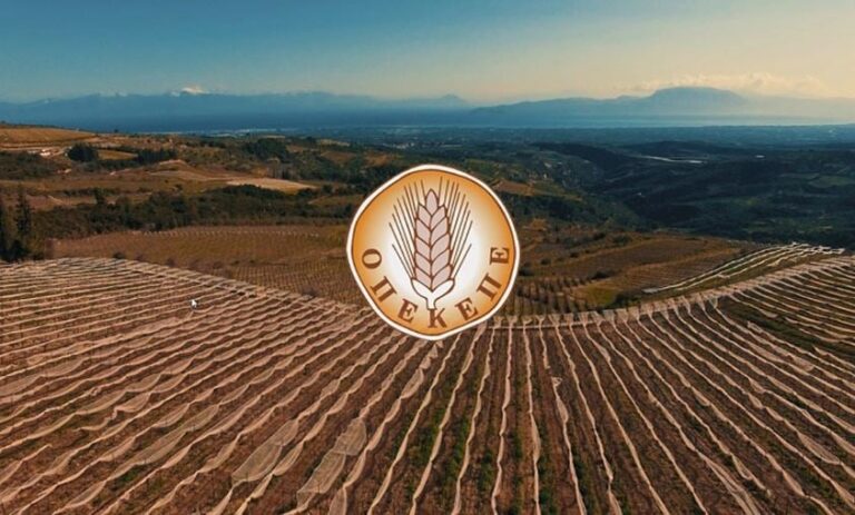 Σκάνδαλο ΟΠΕΚΕΠΕ: «Φαγοπότι» δίχως τέλος – Στον εισαγγελέα άλλα 350 ΑΦΜ από Αθήνα, Θεσσαλονίκη και Κρήτη