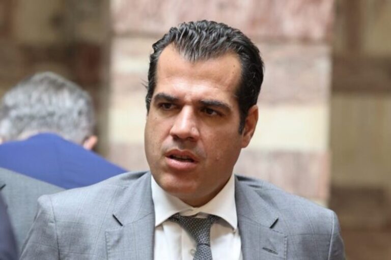 Τεστ ανηλικότητας αποκαλύπτουν εκτεταμένες ψευδείς δηλώσεις, προειδοποιεί ο Πλεύρης