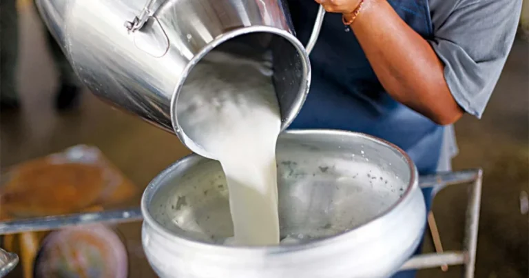 «1,10 ευρώ το κιλό; Είναι προσβολή» – Κραυγή αγωνίας από τους κτηνοτρόφους της Κρήτης για το γάλα και τις ελληνοποιήσεις