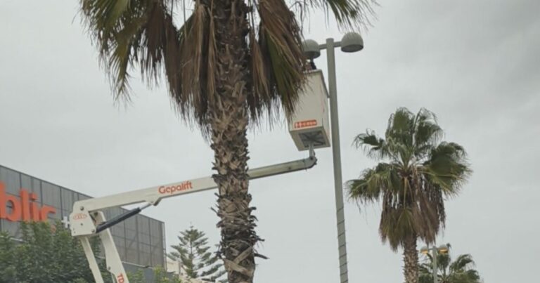 Κρήτη | Ολοκληρώθηκαν οι εργασίες συντήρησης του οδοφωτισμού στη Λεωφόρο Κνωσού