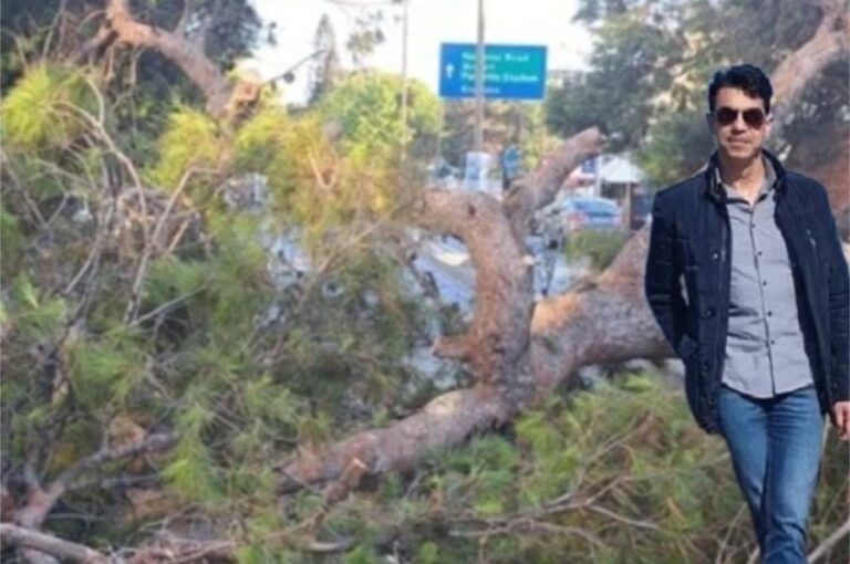 Κρήτη | Δίκη 4 χρόνια μετά για την τραγωδία με το πεύκο που σκότωσε τον 51χρονο Παναγιώτη – Σε… δόσεις η αποζημίωση στην οικογένεια