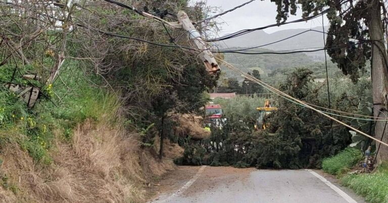 Κρήτη | Μεγάλο δέντρο έπεσε πάνω σε κολώνα της ΔΕΗ | Photos