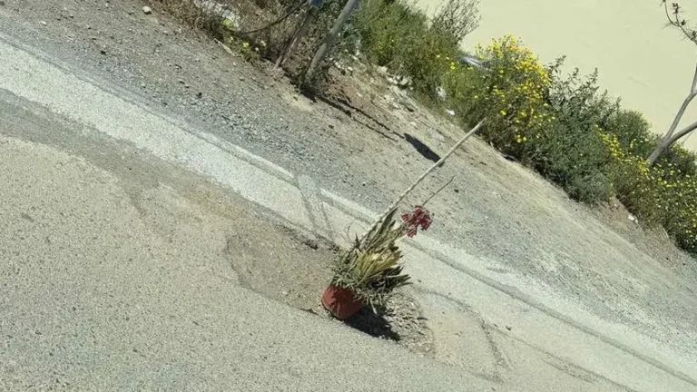 Κρήτη | Η γλάστρα έγινε… σημάδι για τη λακούβα