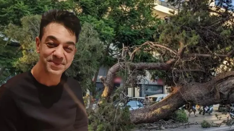 Πτώση δέντρου στο Ηράκλειο: Νέα αναβολή για την υπόθεση θανάτου του Παναγιώτη Μητρέλου